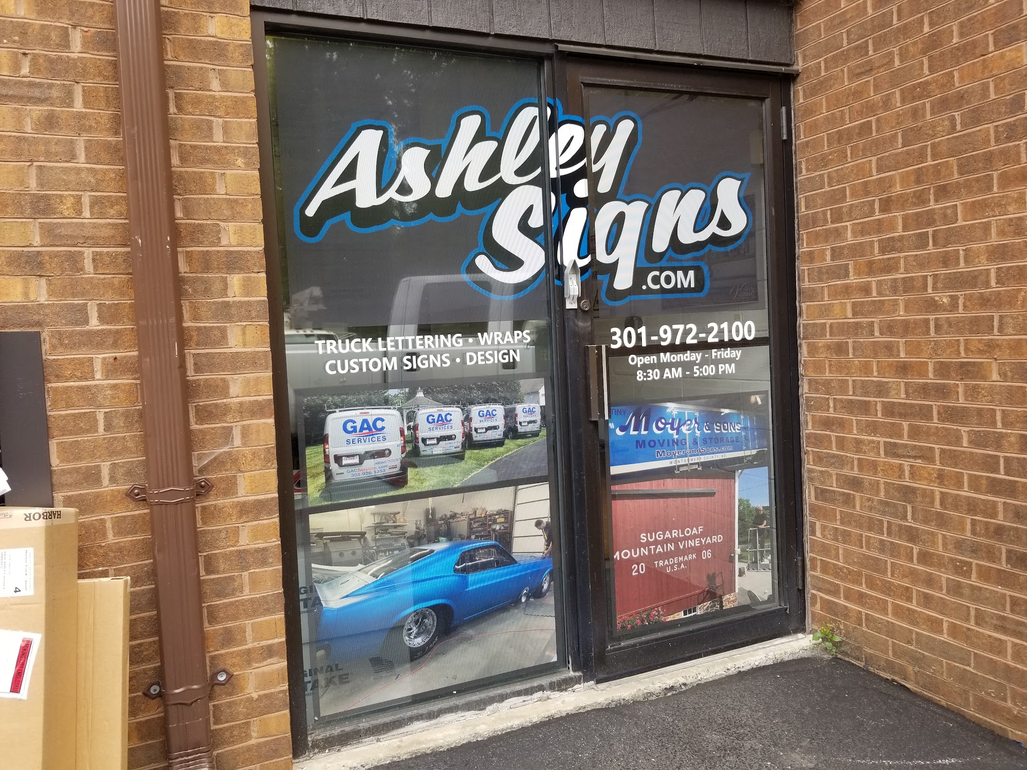 Ashley Signs