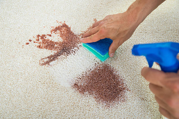 XTP Sofa & Carpet Cleaning Lanham