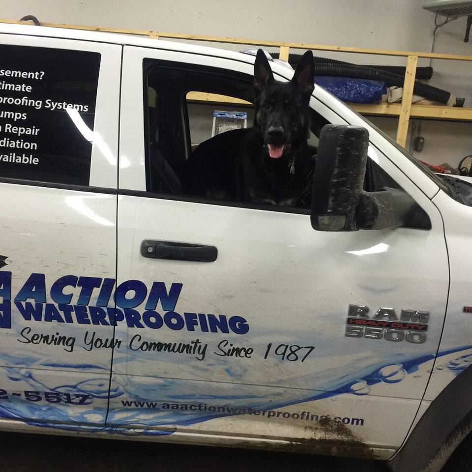 AA Action Waterproofing 805 Barkwood Ct B, Linthicum Heights Maryland 21090