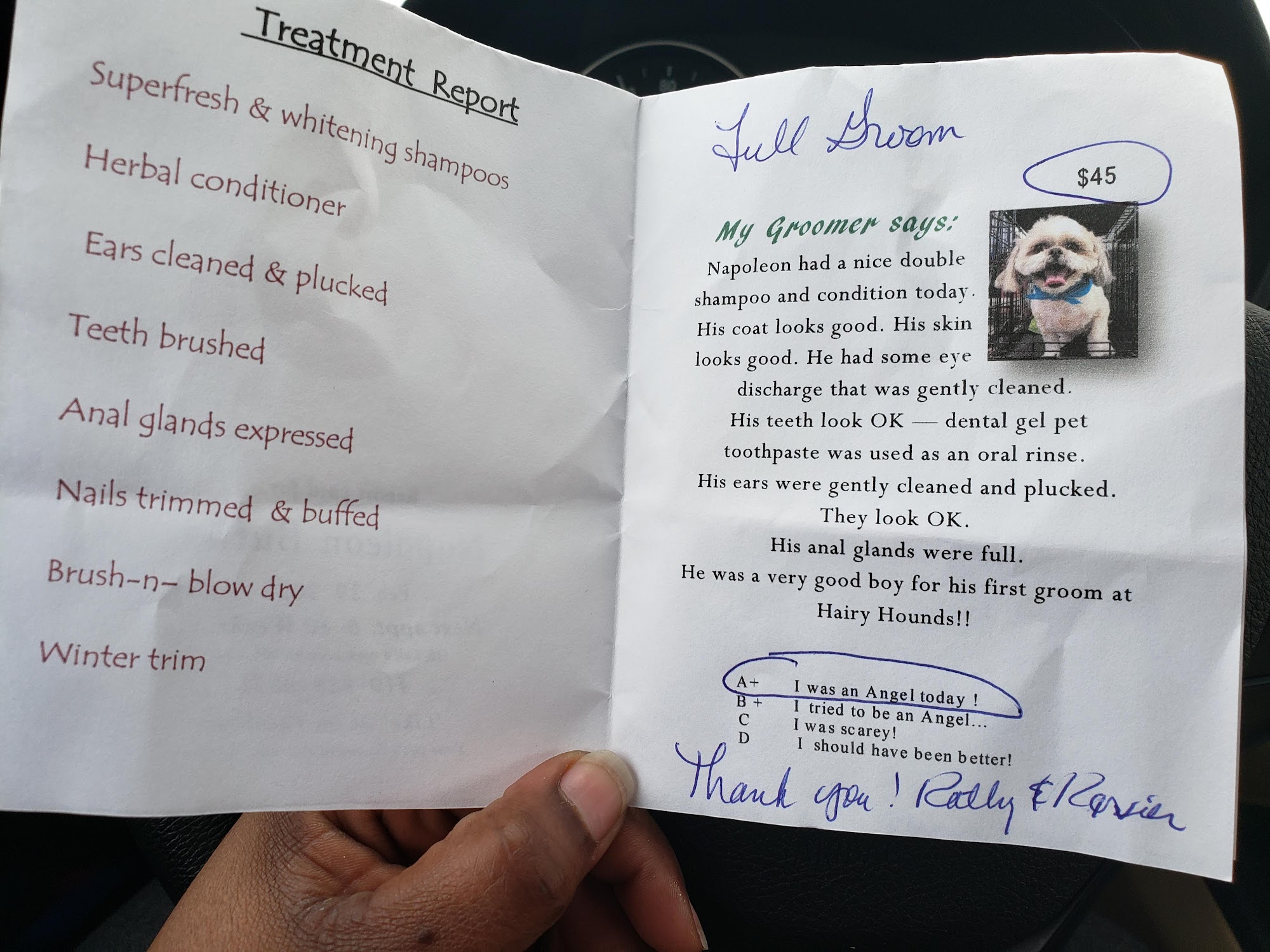 Head-Chester Hairy Hounds Millington