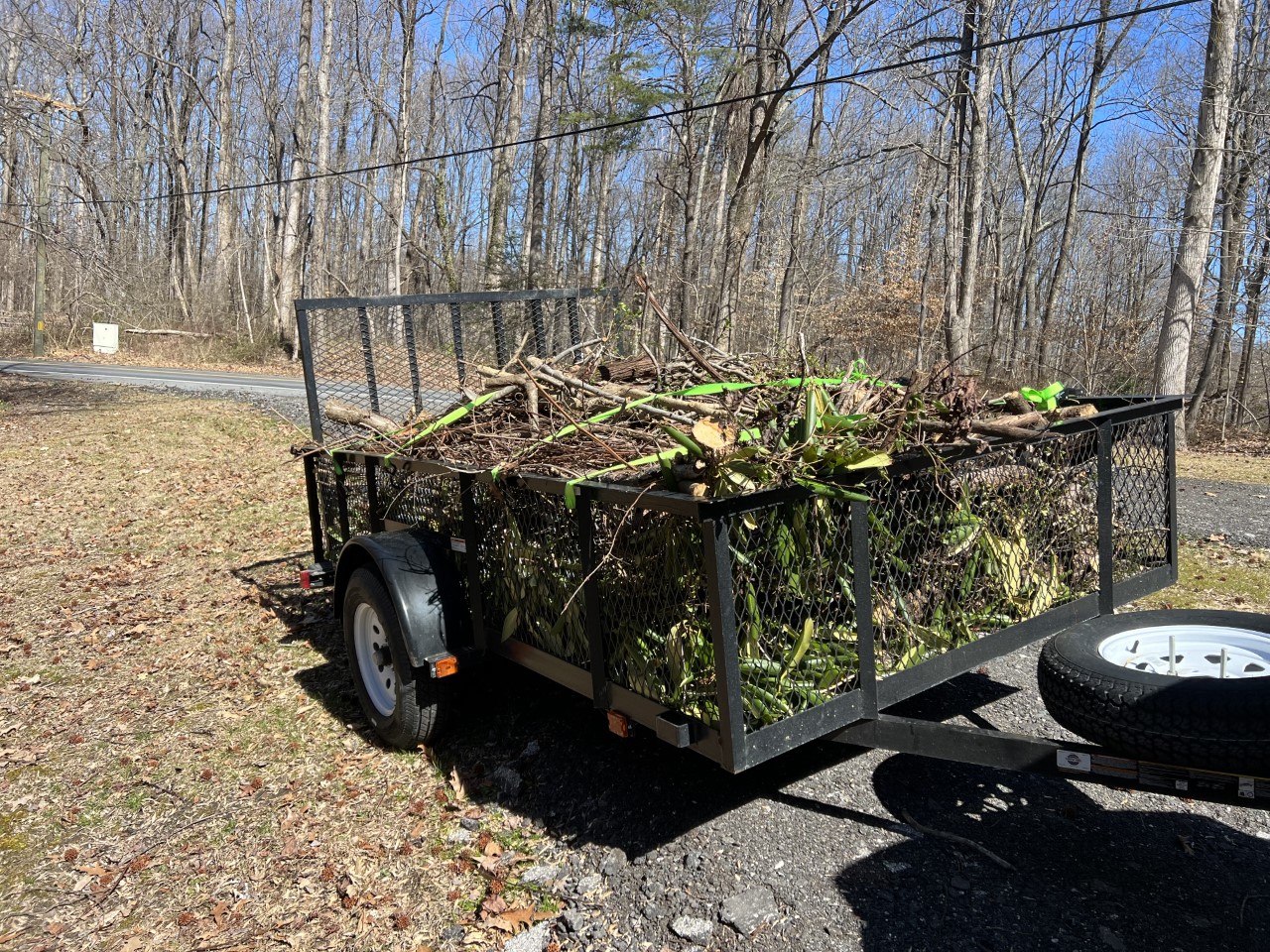 Lost Oak Landscaping and Junk Removal