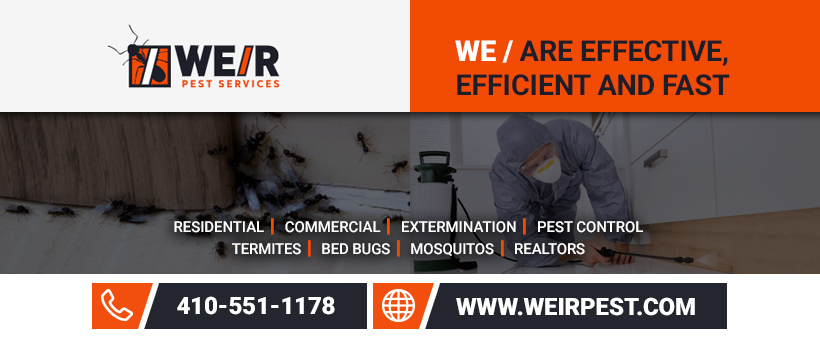 Weir Pest Services 771 Old Donaldson Ave, Severn Maryland 21144