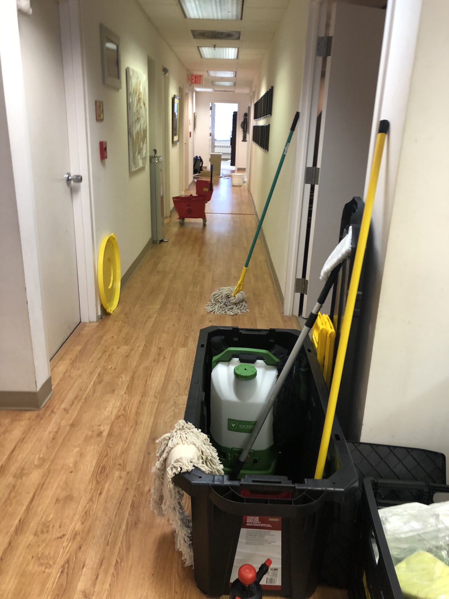 Ecoverde Cleaning