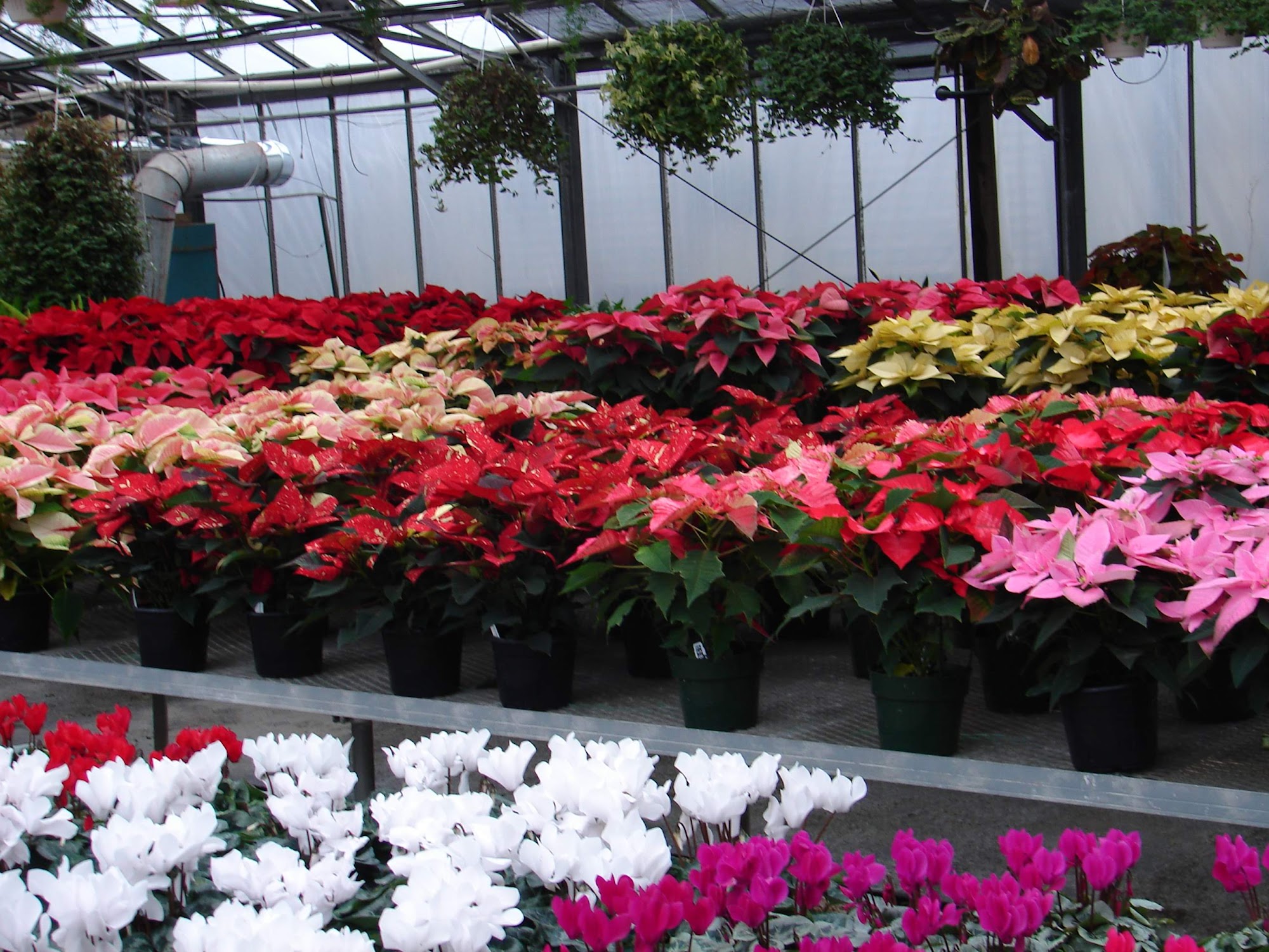 White House Nursery - retail outlet Open Seasonally, please check website for hours, 17422 Falls Rd, Upperco Maryland 21155