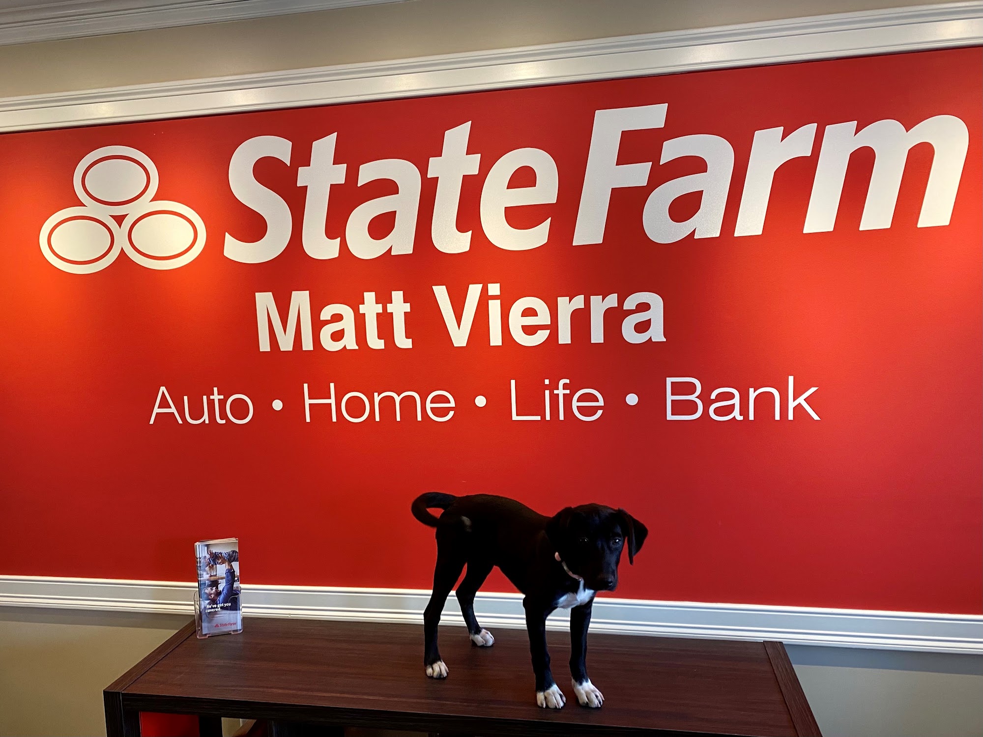 Matt Vierra - State Farm Insurance Agent