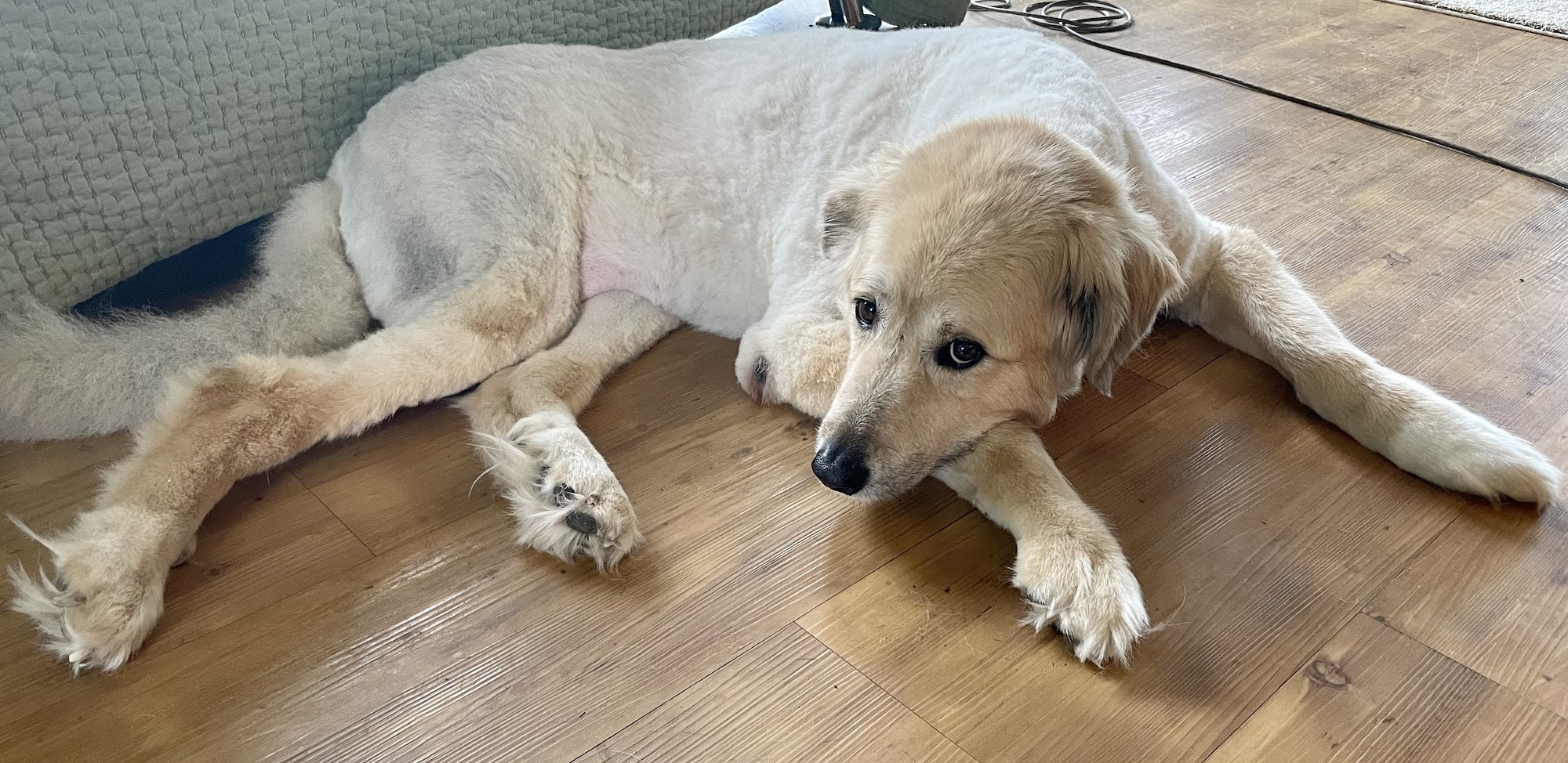 Maine Animal Keeper Hermon