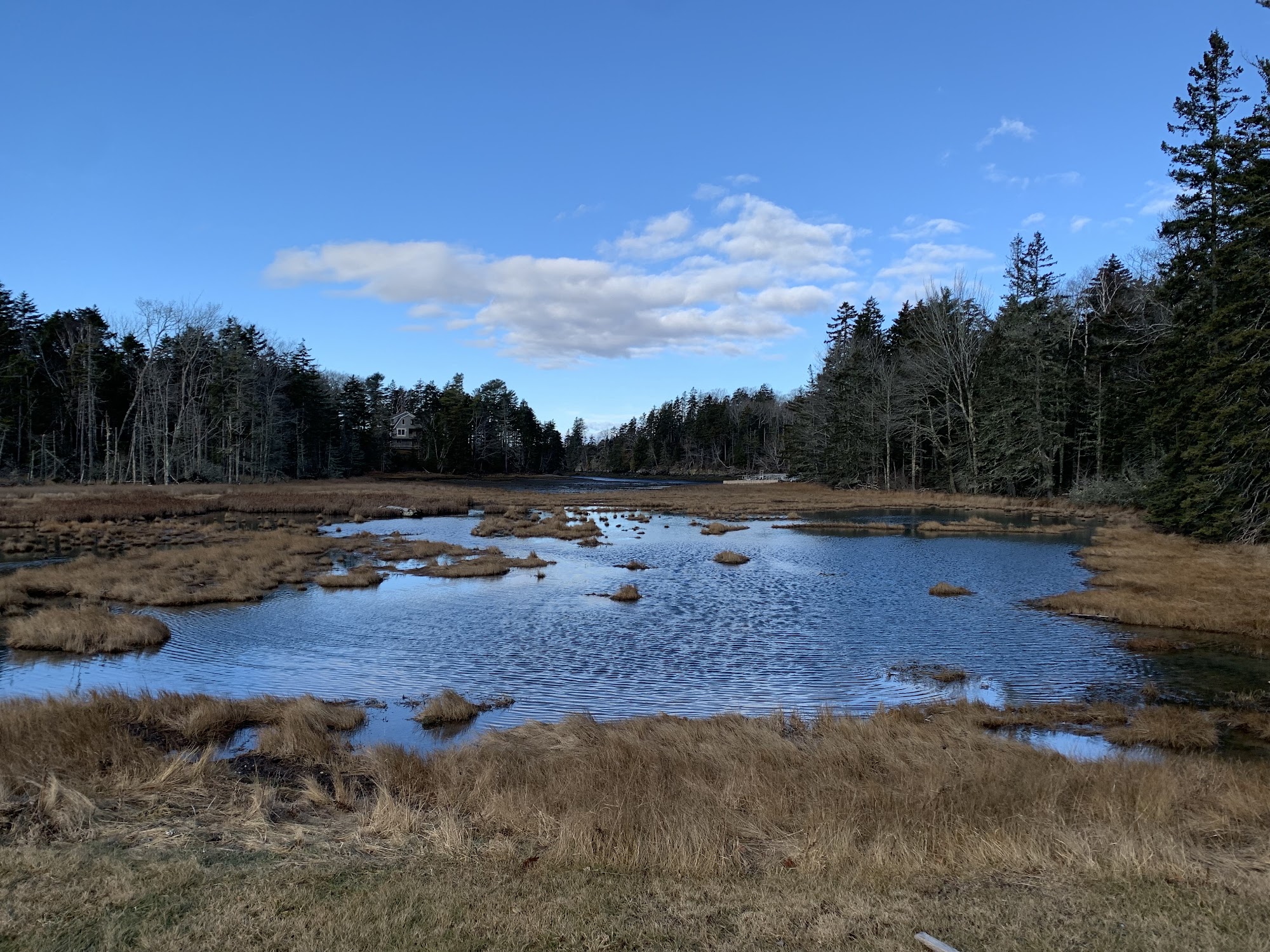 Abundant Wellness Therapeutic Massage 103 Pendleton Point Rd, Islesboro Maine 04848