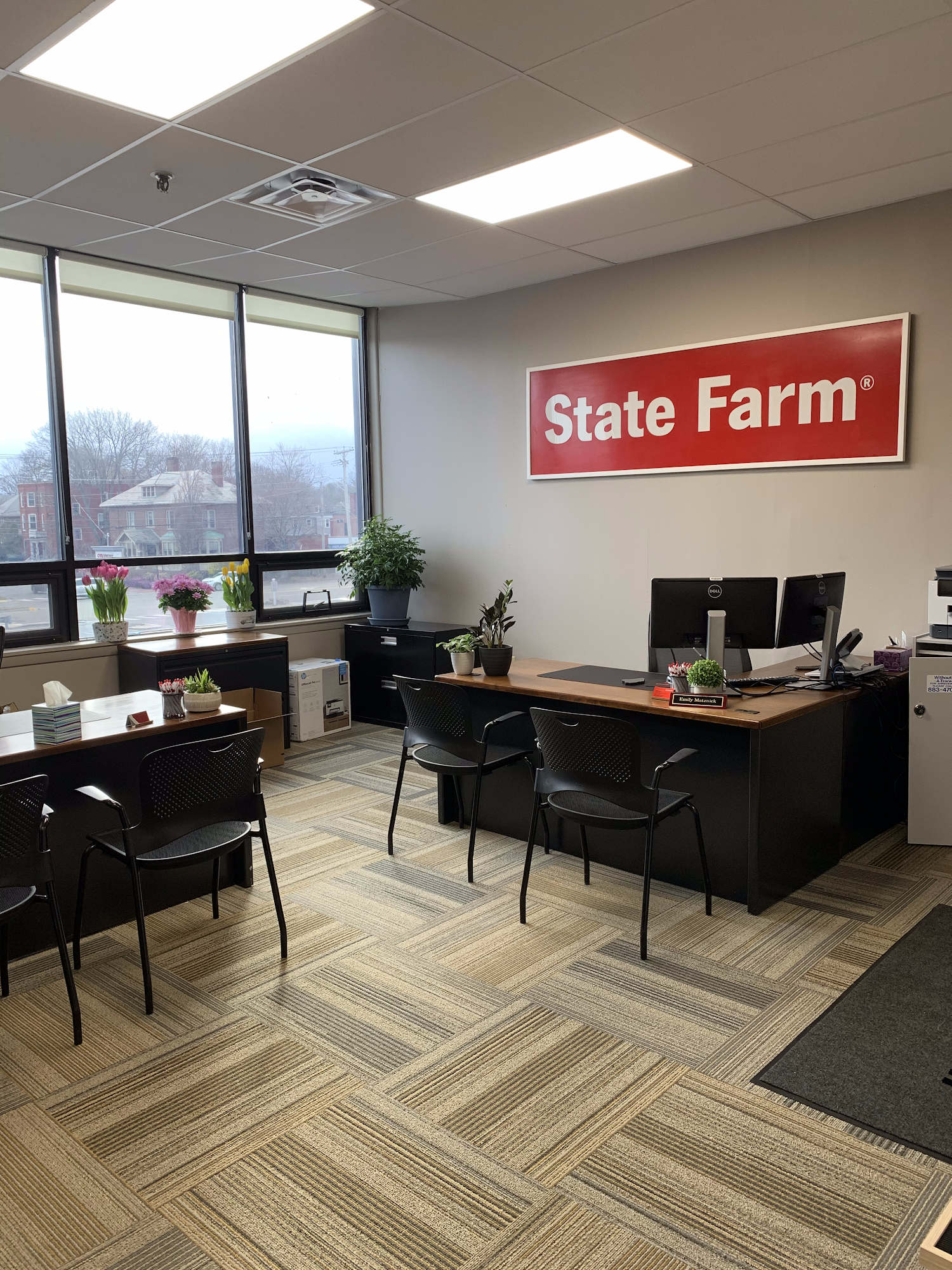 Julie Francis - State Farm Insurance Agent