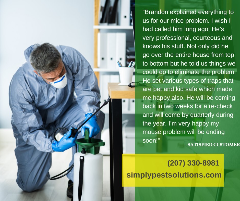 Simply Pest Solutions Richville Rd, Standish Maine 04084