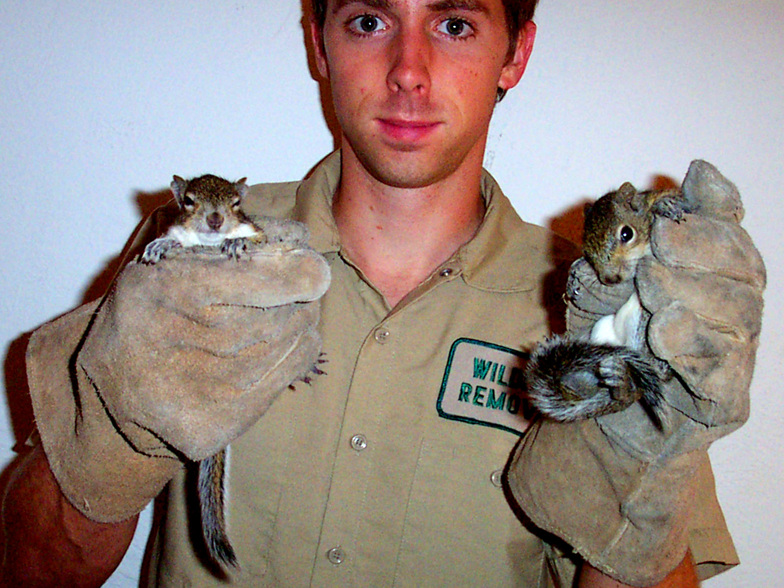 Squirrel Removal Pro Maine