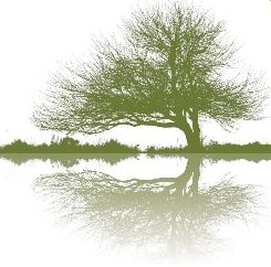 Solace Counseling Services