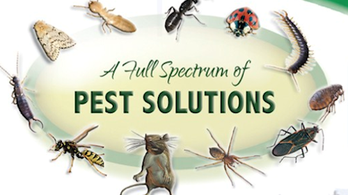 Advanced Pest Solutions Plus