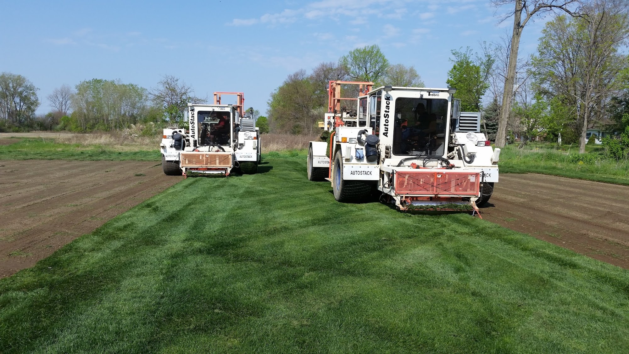 New Lawn Sod Farm, inc