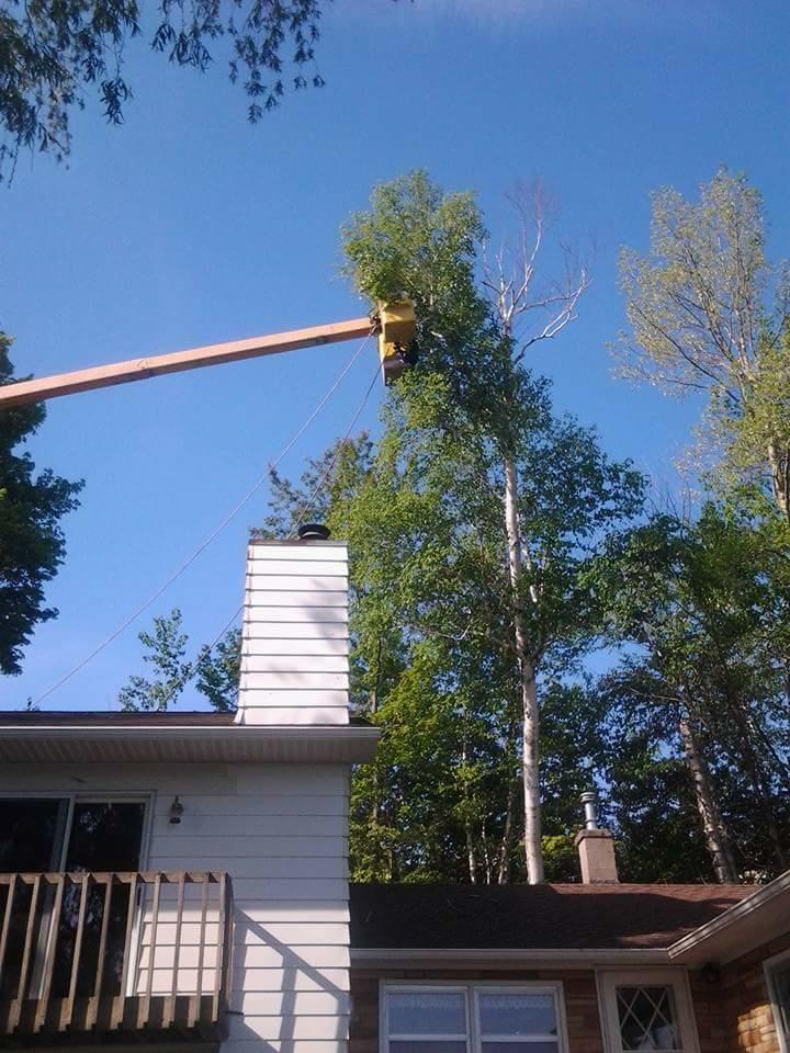 Smitty's Tree & Snow Removal 2741 Benzie Hwy, Benzonia Michigan 49616