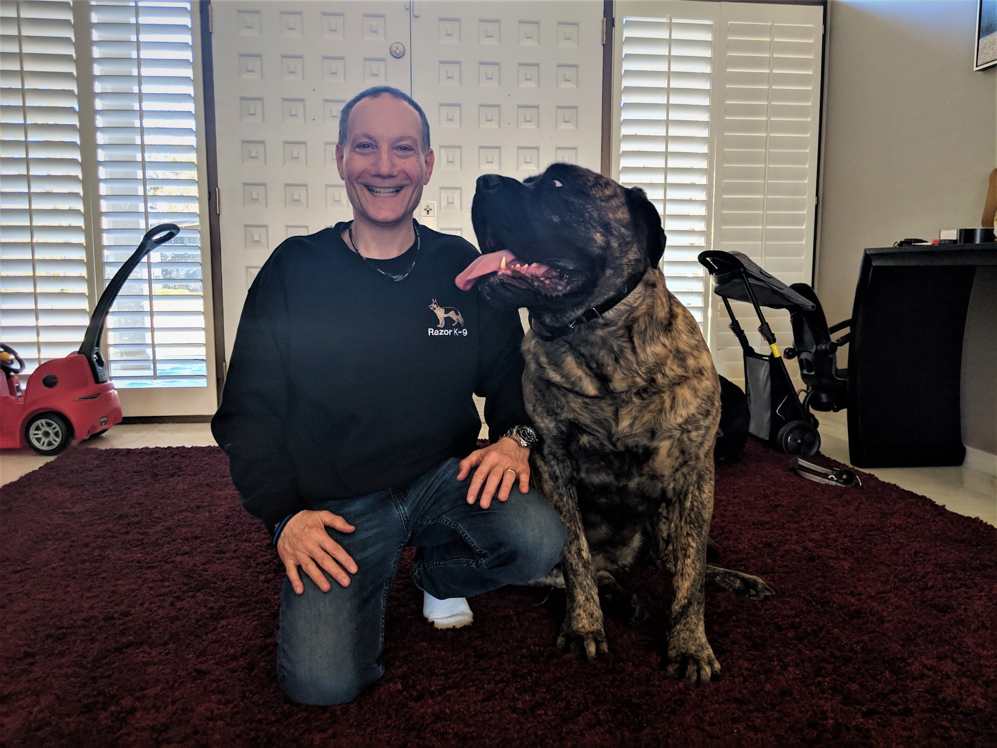 Razor K-9 Birmingham