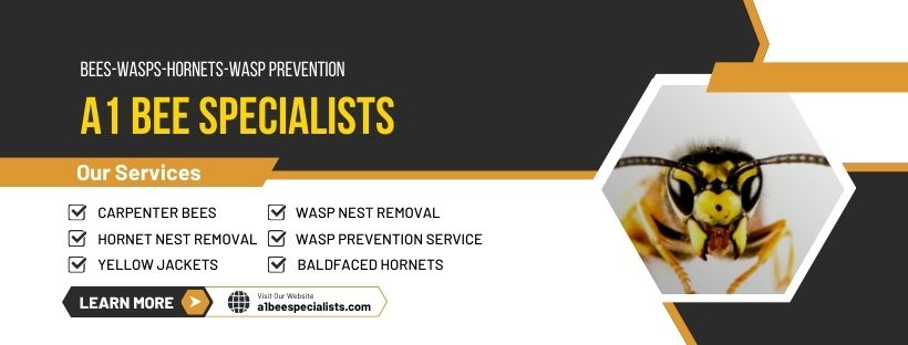 A1 Bee Specialists Bees Wasps Hornets Nest Removal