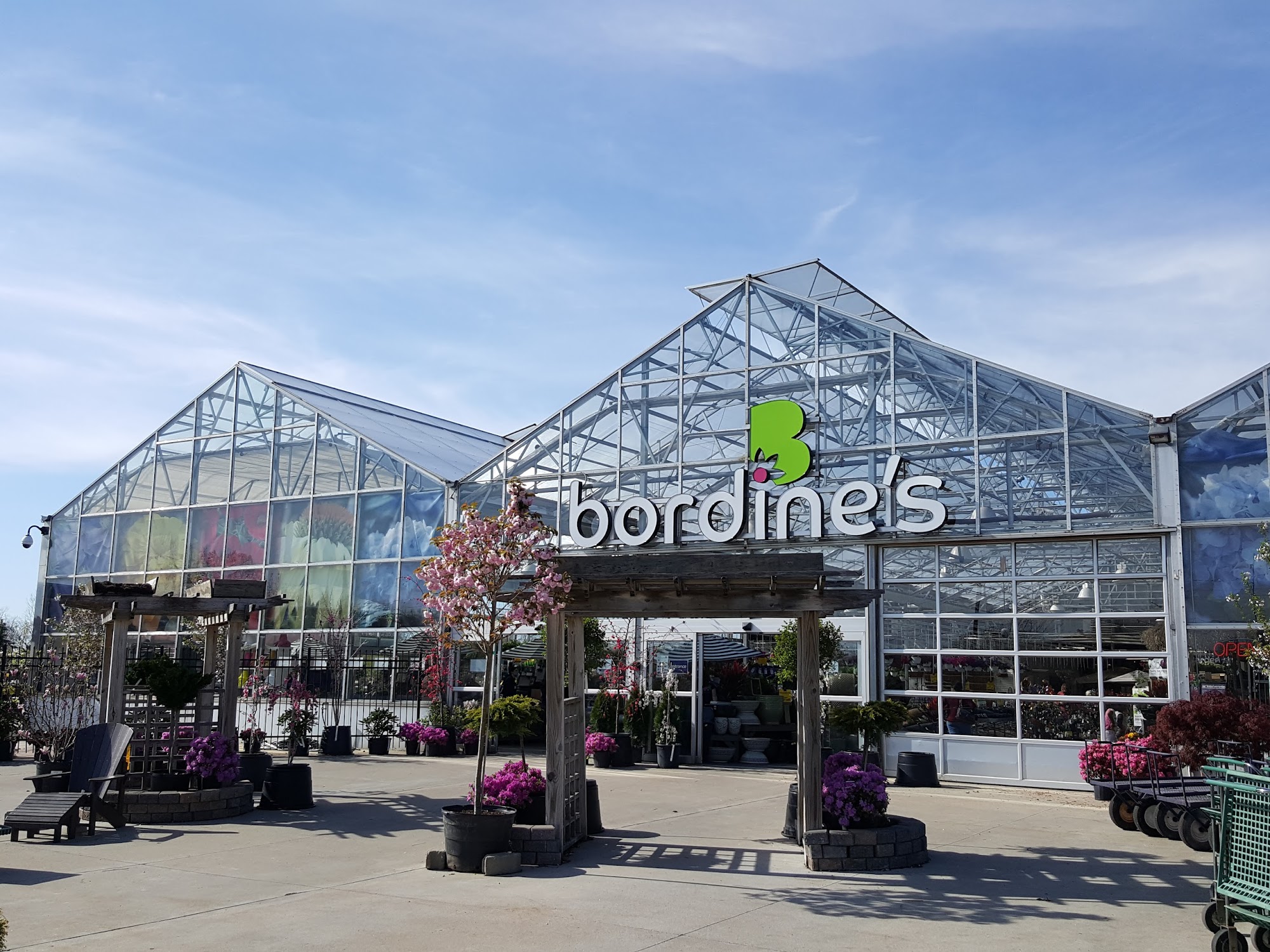 Bordine's of Brighton