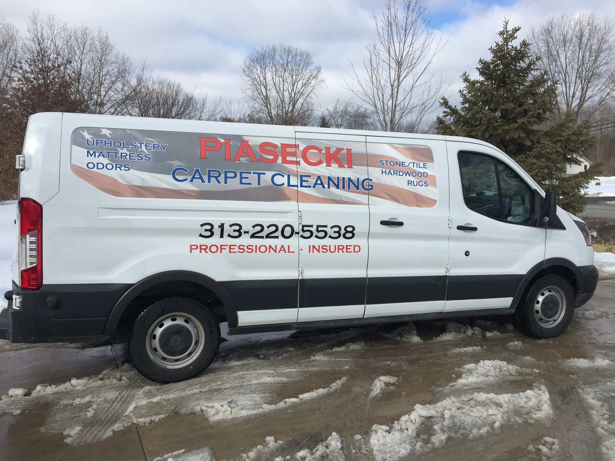Piasecki Carpet and Upholstery Cleaning Carter Rd, Carleton Michigan 48117