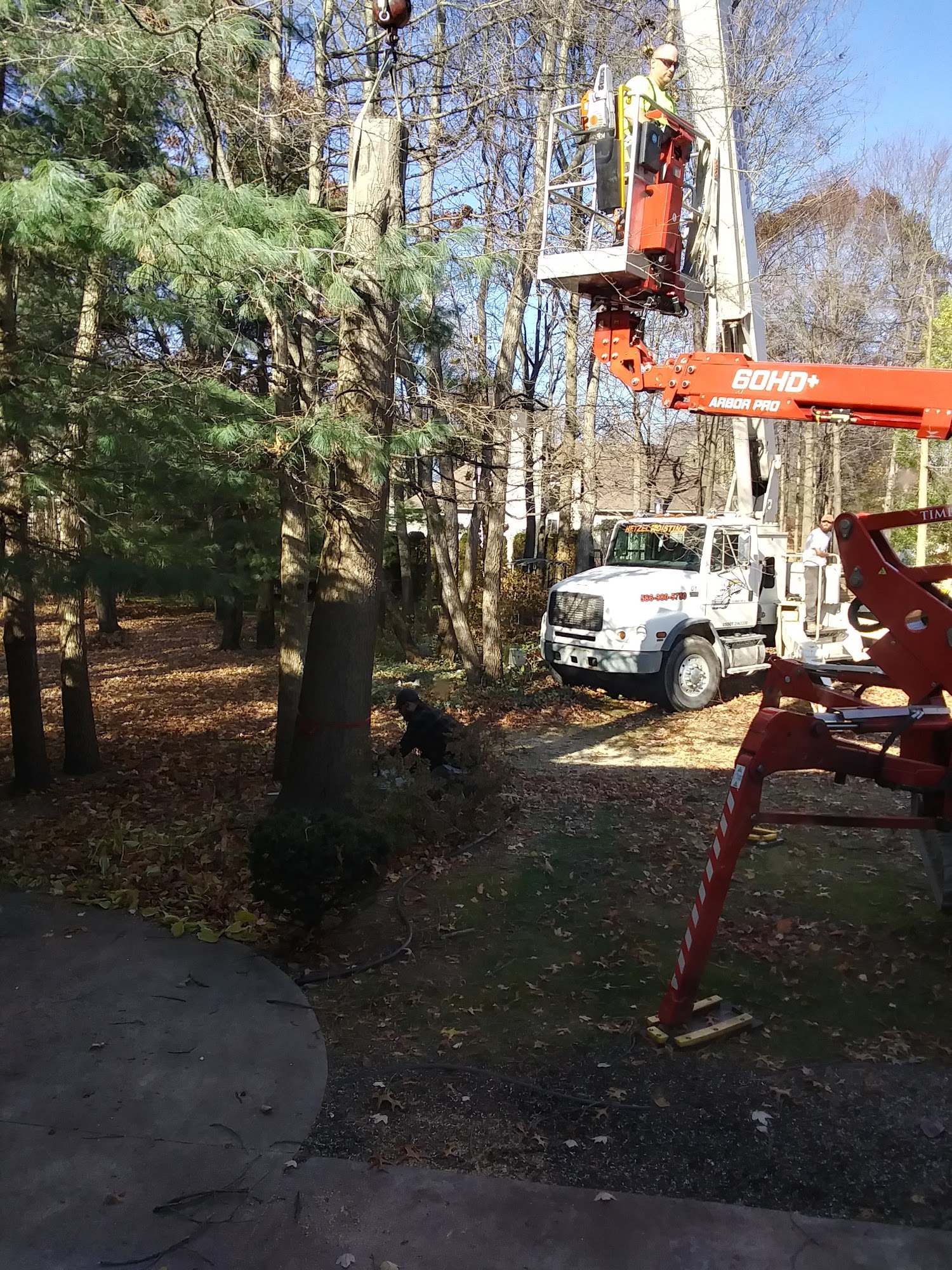 Timbers Tree Service Inc 3037 King Rd, China Michigan 48054