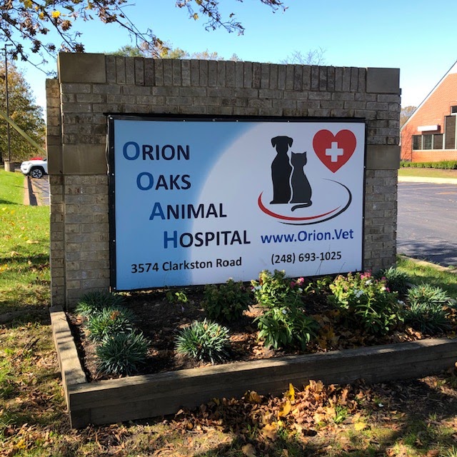 Orion oaks animal hospital