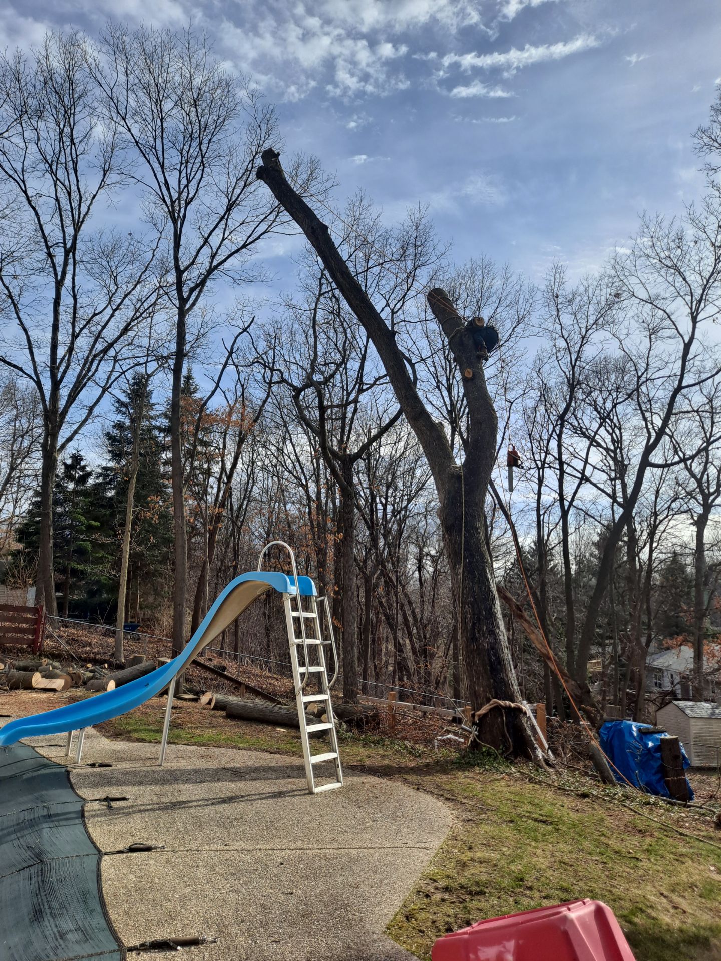 Legacy Tree Service 4136 16th St, Dorr Michigan 49323