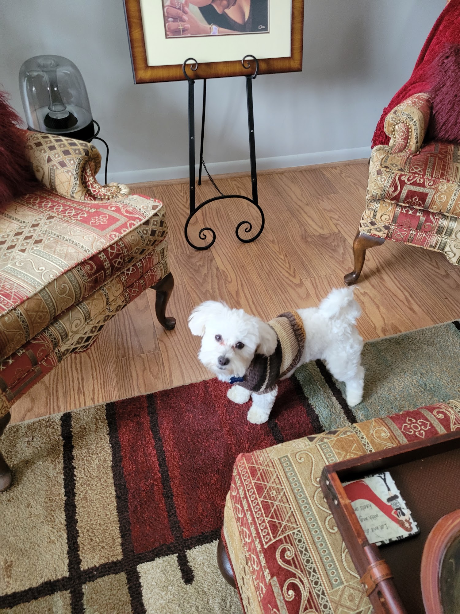 Kim's Dog Grooming Eastpointe