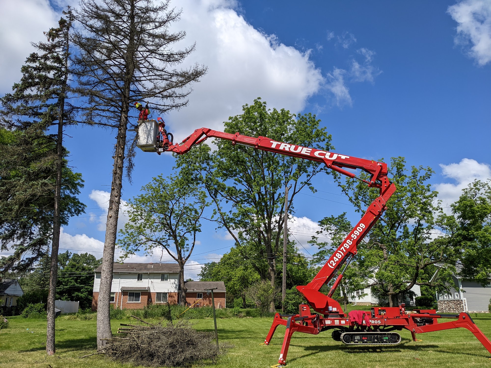 True Cut Tree Care Service