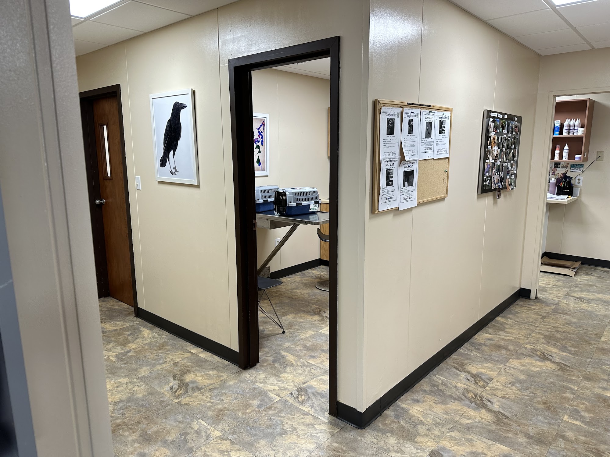 Animal Clinic, Inc. Grand Rapids