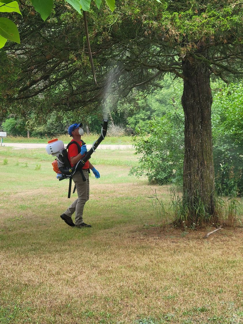 Got'em Wasp & Hornet Removal