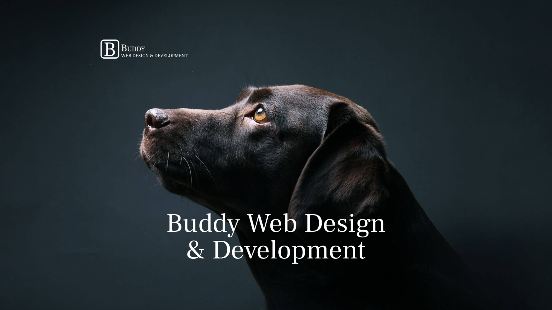 Buddy Web Design & Development - Web Developer, Graphic Design, Logo Design