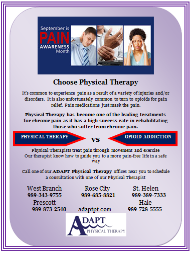 Adapt Physical Therapy 406 S Washington Ave, Hale Michigan 48739