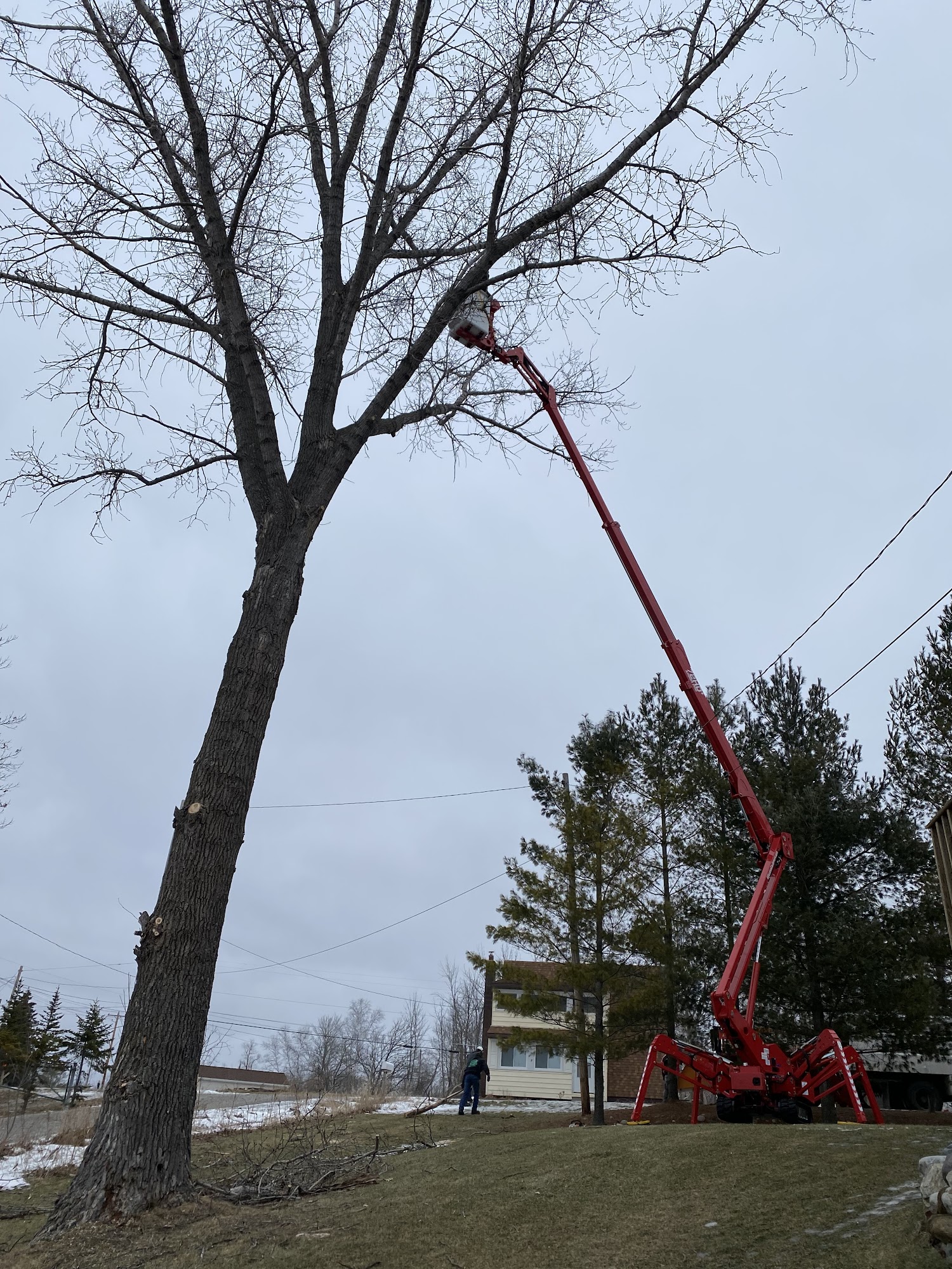 Timlick's Tree Service 8725 Ora Lake Rd, Hale Michigan 48739