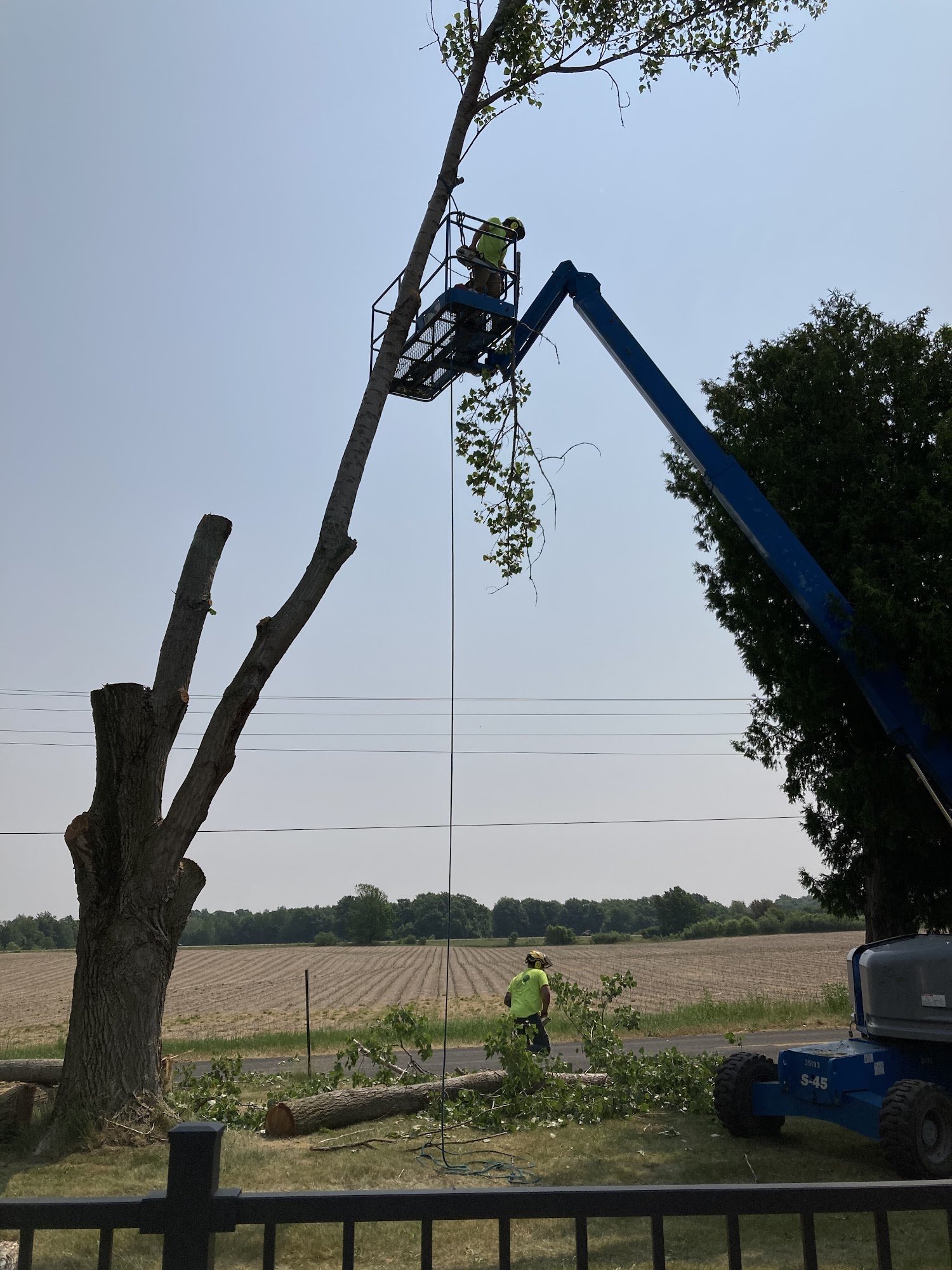 T&M Landscaping and Tree Services LLC E Deer Rd, Hart Michigan 49420