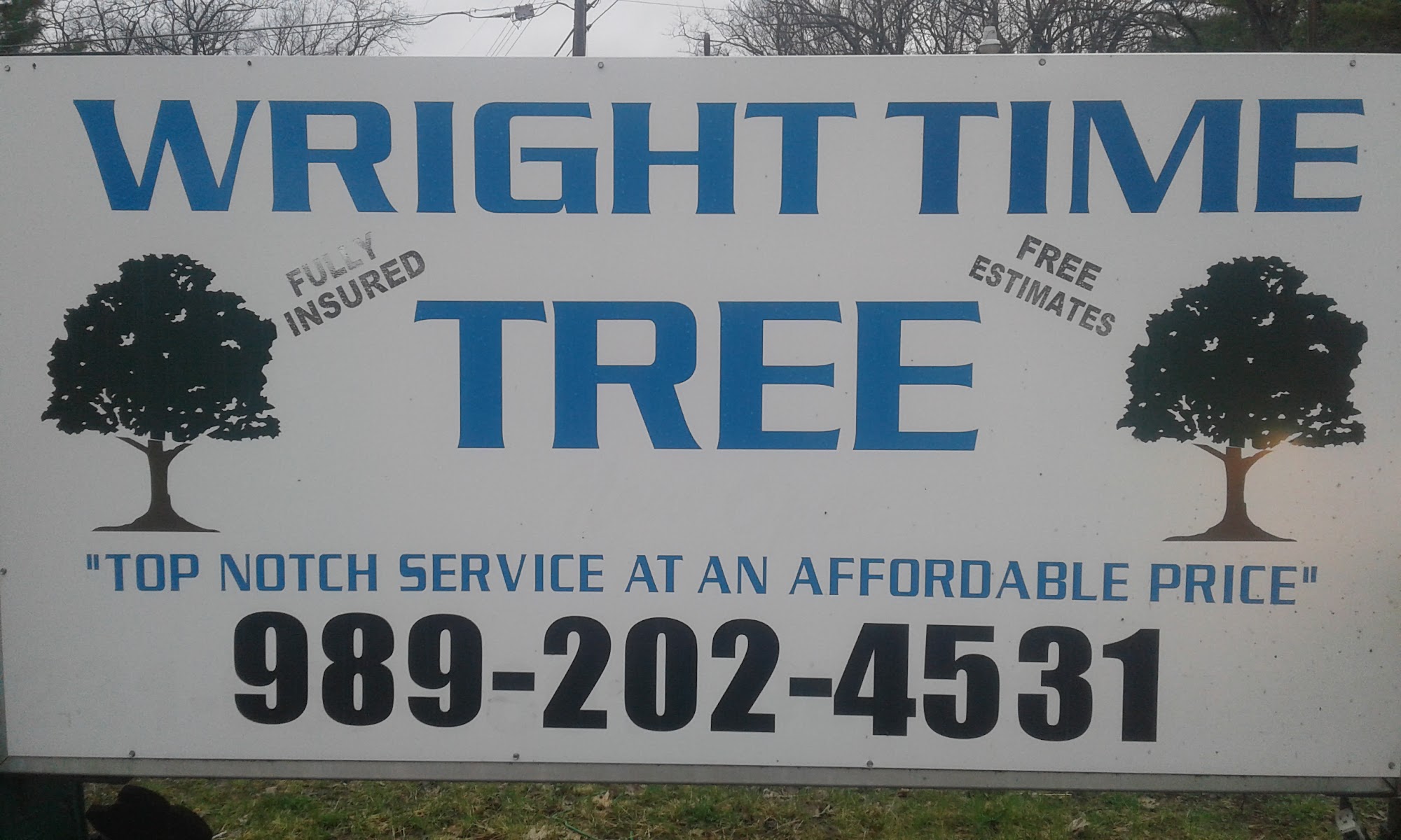 Wright Time Tree