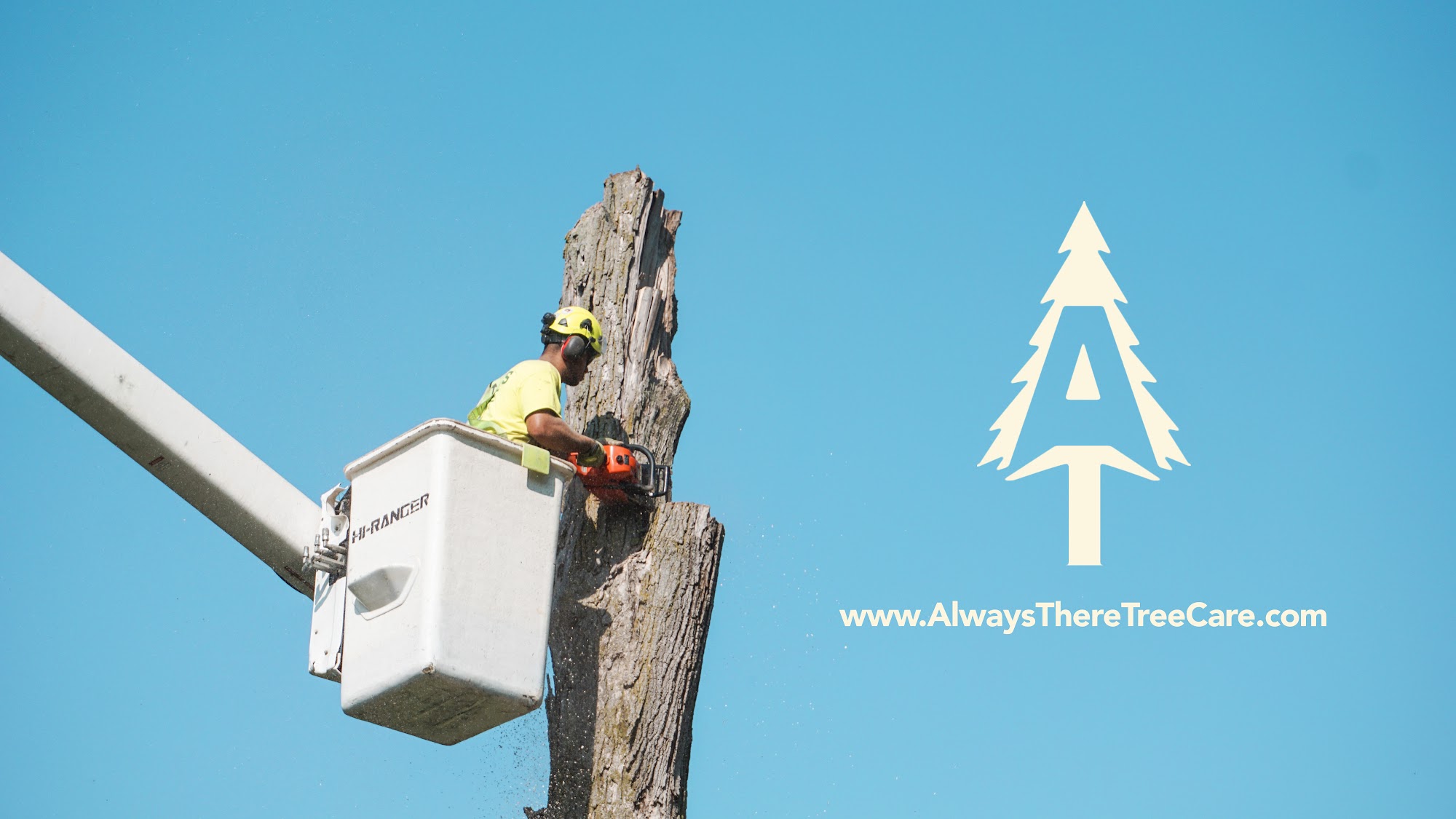 Always There Tree Care LLC 2295 S Alger Rd, Ithaca Michigan 48847