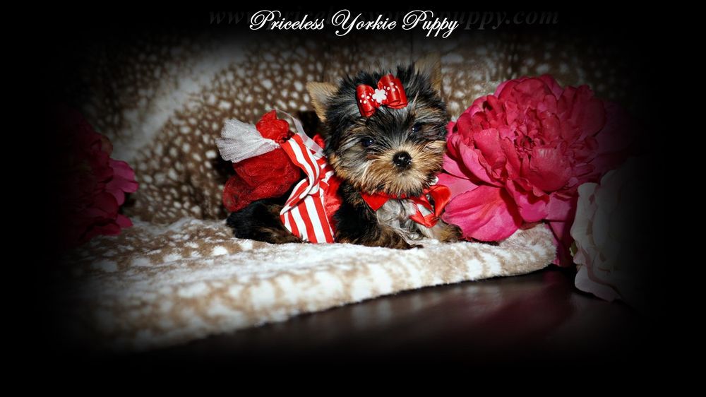 Photo credit: 