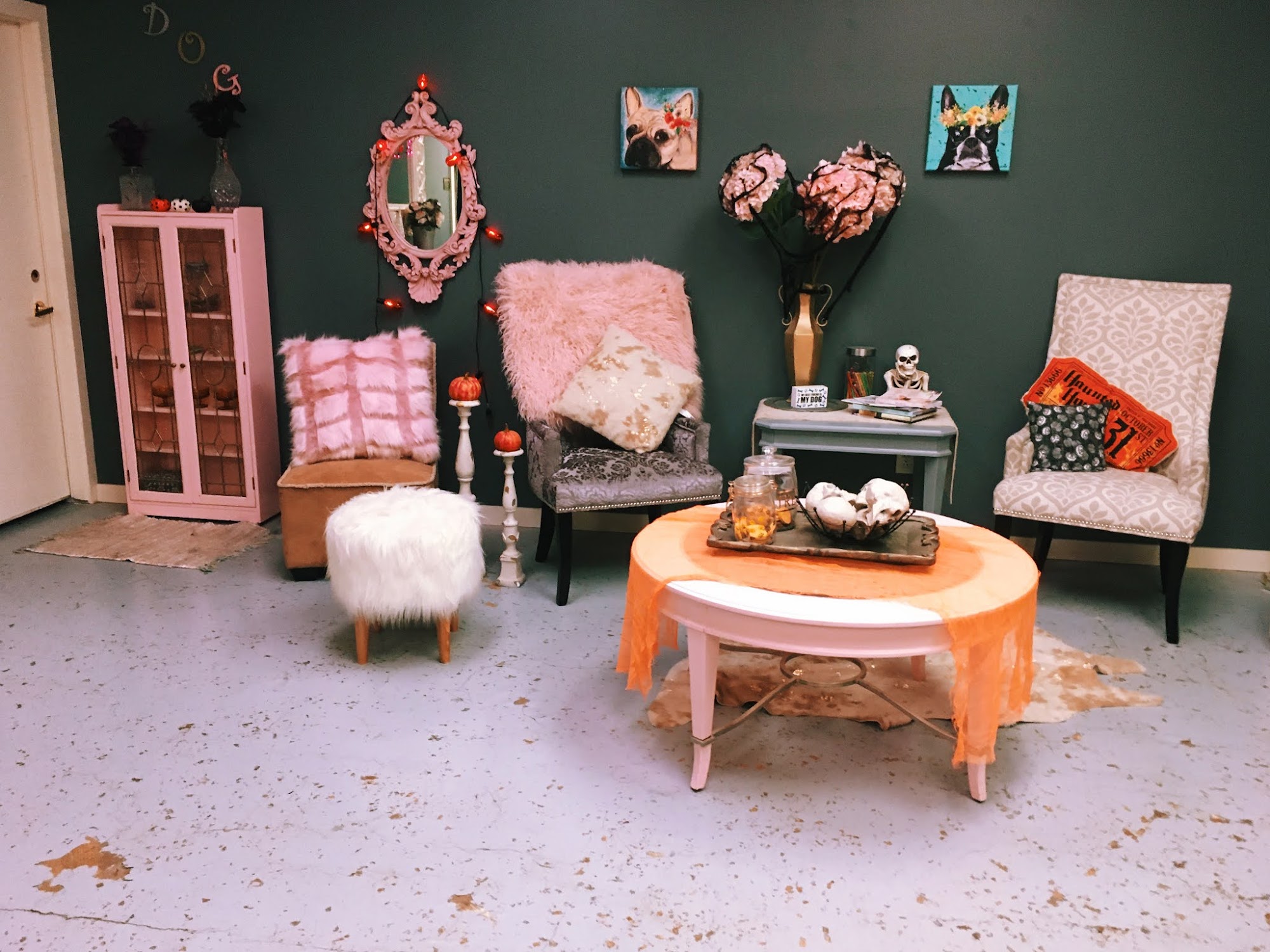 Platinum Paws Kalamazoo