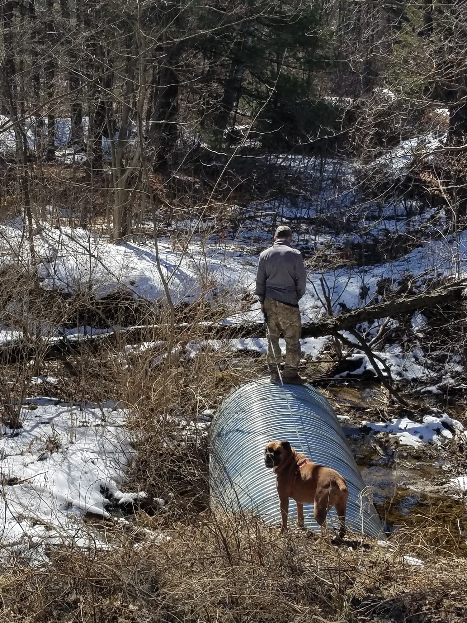 Wadhams Road Animal Care Center