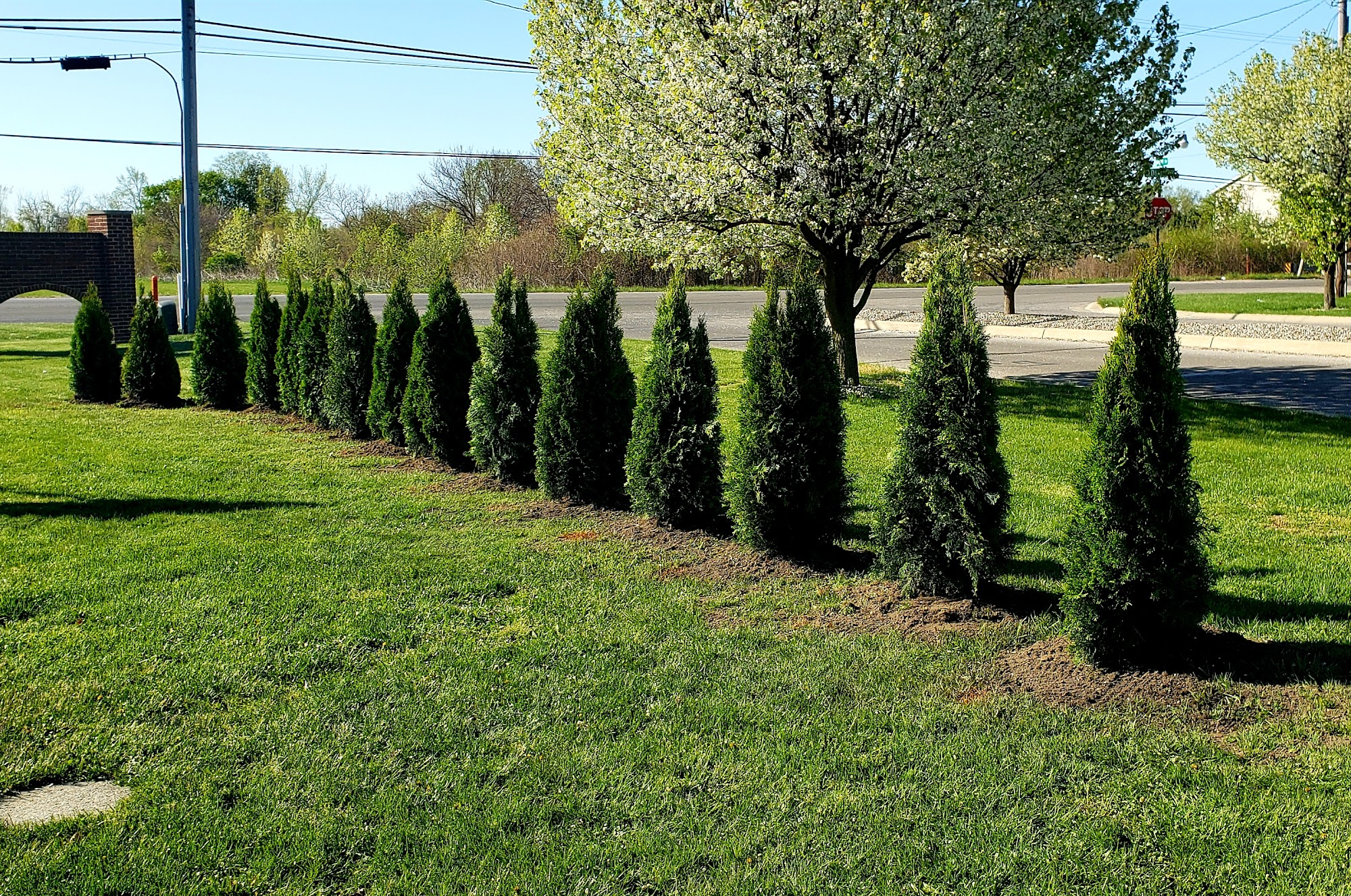 Tom's Landscaping and Sod L.W. 13800 Gayville Rd, La Salle Michigan 48145