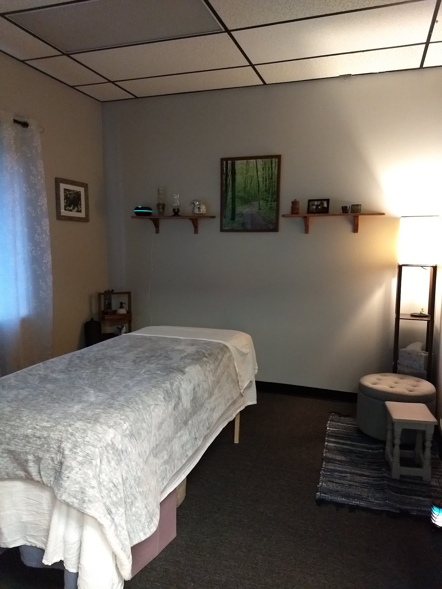 Michigan Massage Professionals Inc.