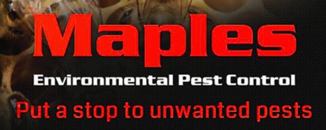 Maples Environmental Pest