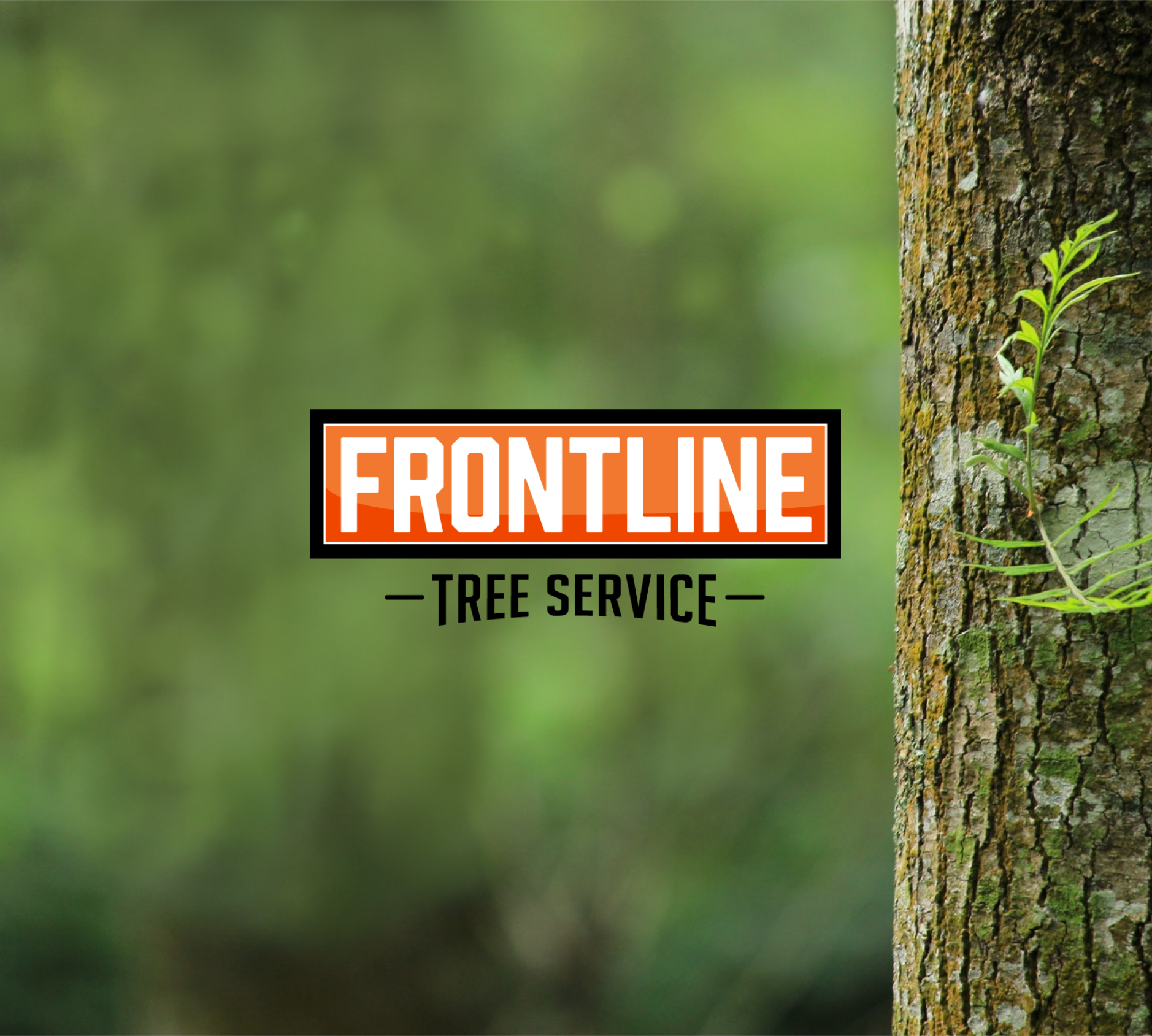 Frontline Tree Service 48601 24th St, Mattawan Michigan 49071