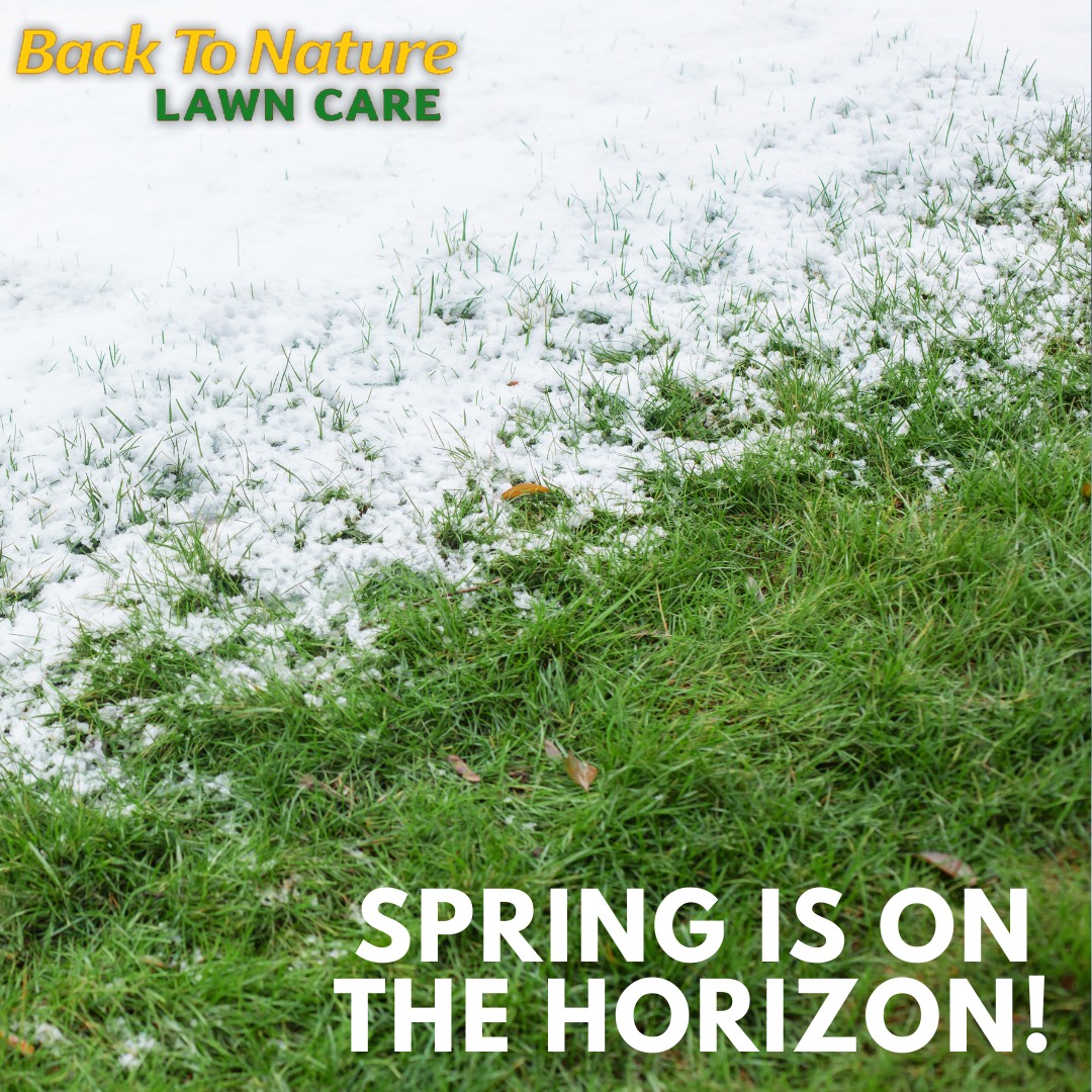 Back To Nature Lawn Care 10633 Moon Rd, Milan Michigan 48160