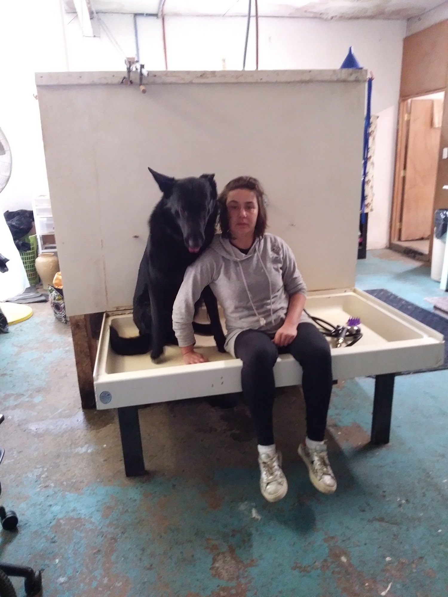 Tails To Nails Pet Salon Mount Morris