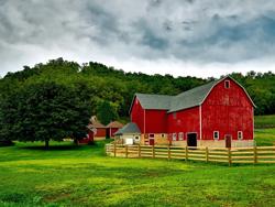 Farm Bureau Insurance - Scott Phelps