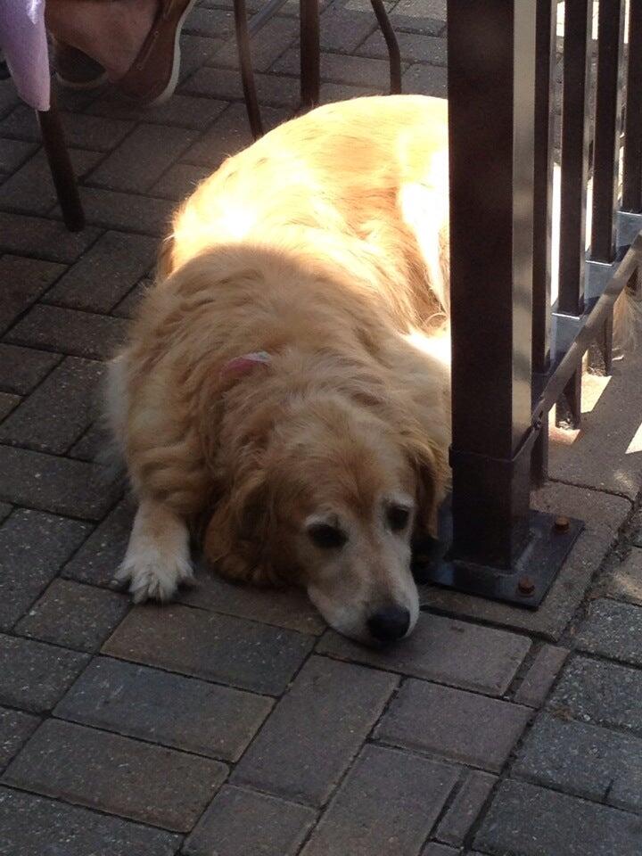 Photo credit: nextdoor