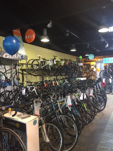 D&D Bicycles - Northville