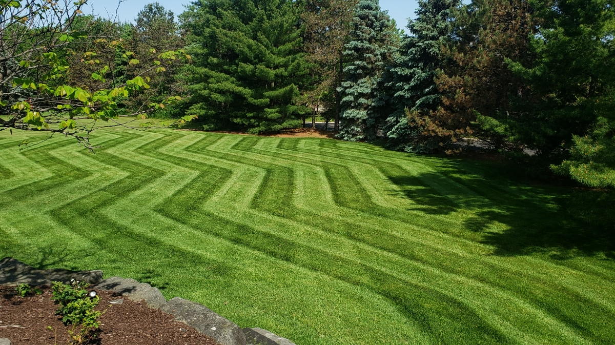 Busch Lawn Care LLC