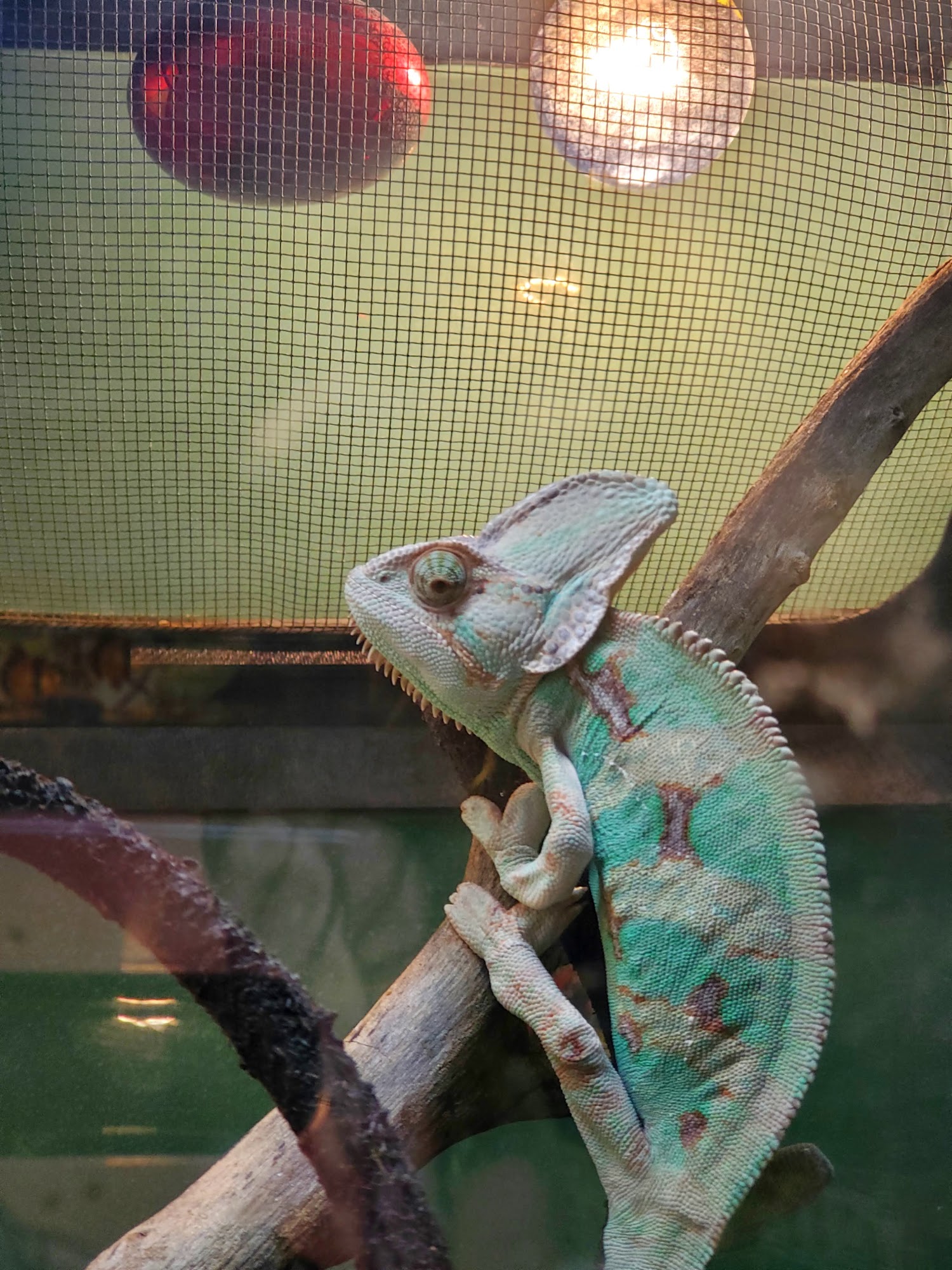 Pet Facilities in Oxford, Michigan Pet Stores, Grooming, Pet Care