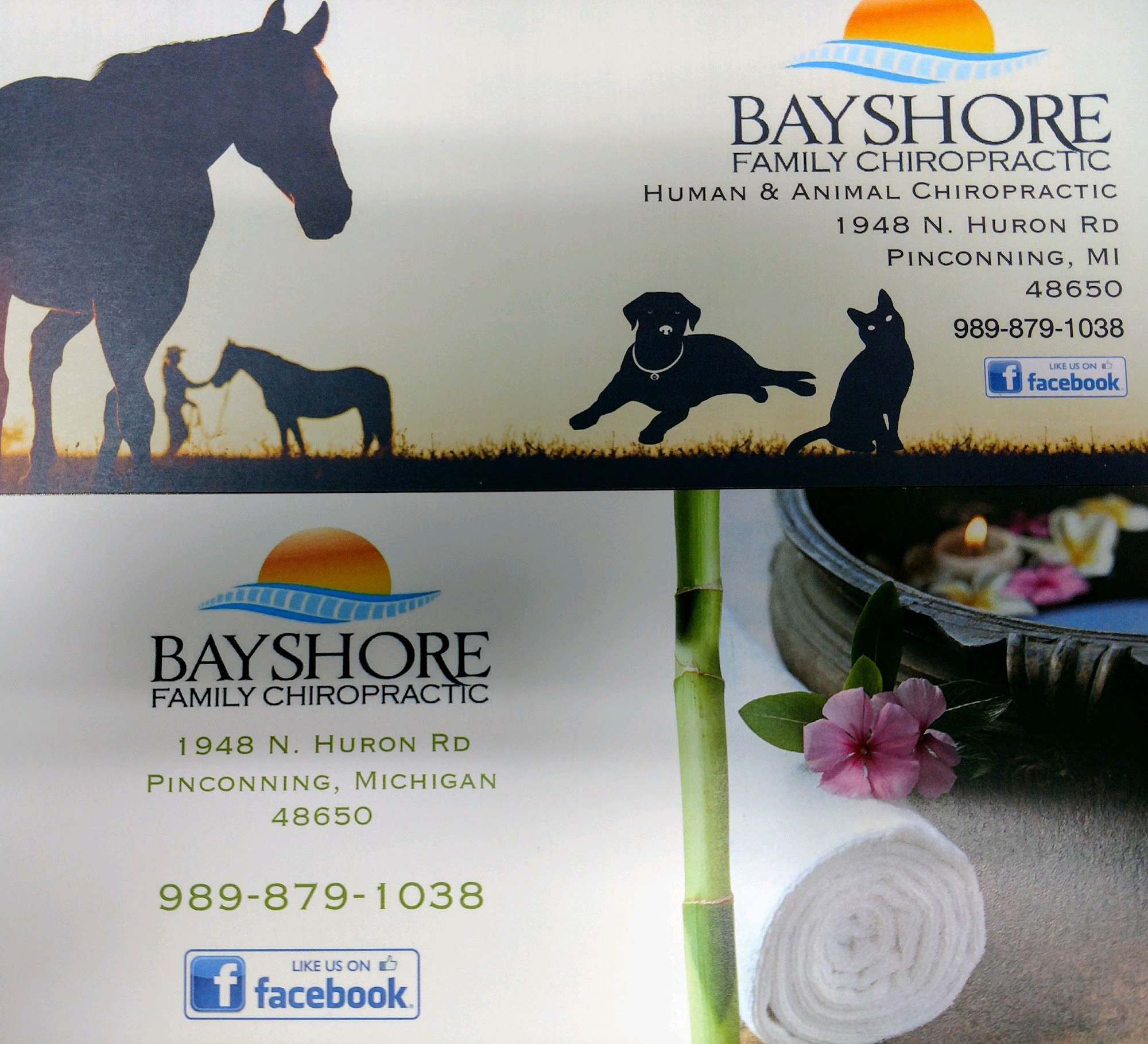 Bayshore Family & Animal Chiropractic: Carissa L. Meyers D.C.